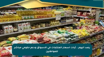 رصد اليوم.. ثبات أسعار المنتجات في الأسواق ودعم حكومي مباشر للمواطنين